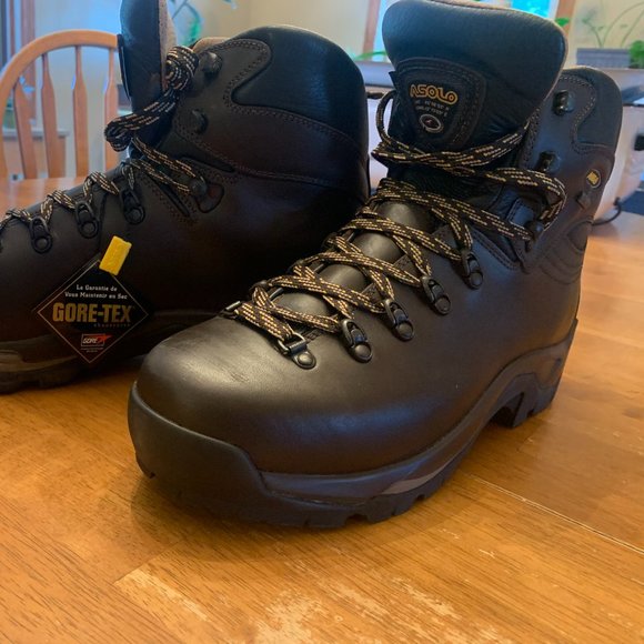 Asolo Other - Asolo TPS 520 GTX Boots (NWT)